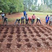 cropped-pfum1 Food Security